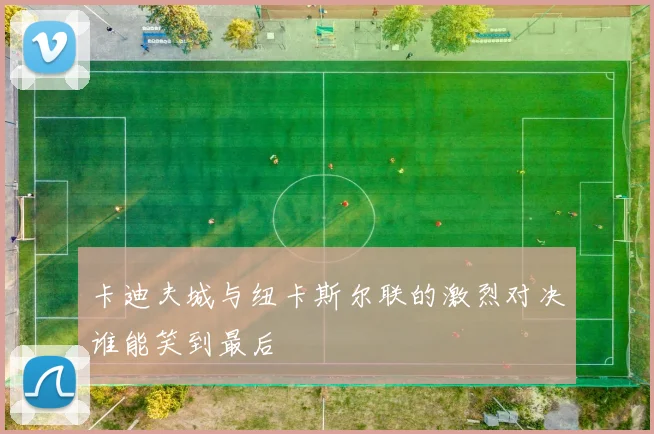 卡迪夫城与纽卡斯尔联的激烈对决谁能笑到最后