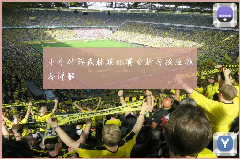 小牛对阵森林狼比赛分析与投注推荐详解