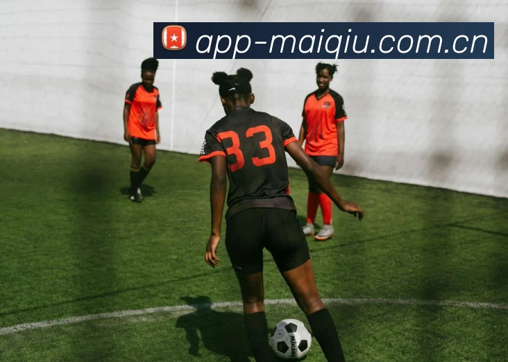 多媒体互动体验